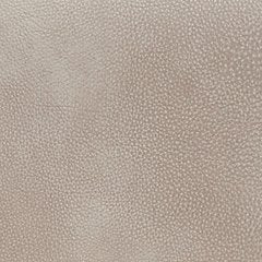 4Z-Peaceful Pause Power Lift Recliner - Dow Furniture (ME)