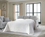 Adlai Sofa Sleeper - Dow Furniture (ME)