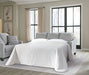 Adlai Sofa Sleeper - Dow Furniture (ME)