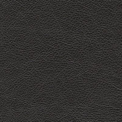 Amiata Sofa - Dow Furniture (ME)