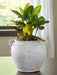 Meadie Vase - Dow Furniture (ME)