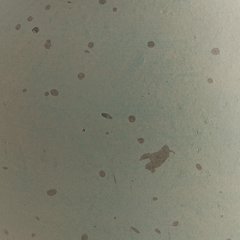 Baychester Vase - Dow Furniture (ME)