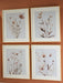 Chettings Wall Art (Set of 4) - Dow Furniture (ME)