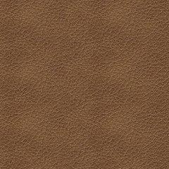 Bolsena Sofa Sleeper - Dow Furniture (ME)