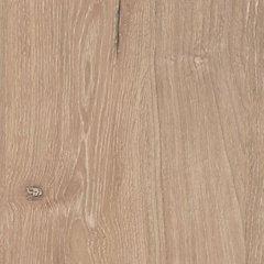 Cielden Chest of Drawers - Dow Furniture (ME)