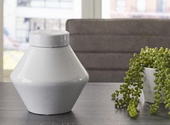 Domina Jar (Set of 2) - Dow Furniture (ME)