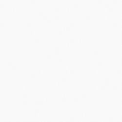 Bostwick Shoals Youth Dresser - Dow Furniture (ME)