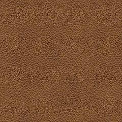 Emilia Living Room Set - Dow Furniture (ME)