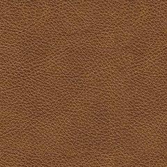 Carianna Loveseat - Dow Furniture (ME)