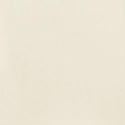 Kimonte Dining Chair - Dow Furniture (ME)