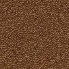 Healy Pier Power Recliner - Dow Furniture (ME)