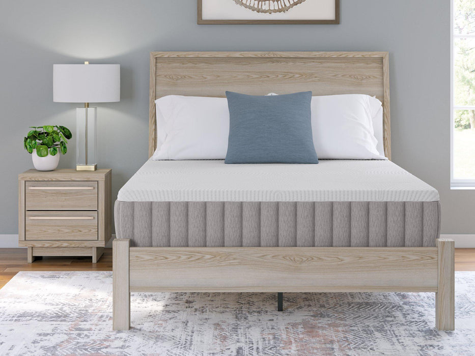 Terra Sleep Firm Mattress - Dow Furniture (ME)