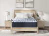 Firm Luxe 2.0 Mattress - Dow Furniture (ME)