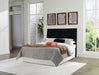 Danziar Bed - Dow Furniture (ME)