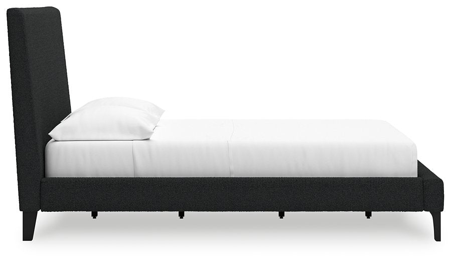 Cadmori Upholstered Bed with Roll Slats - Dow Furniture (ME)