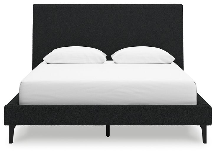 Cadmori Upholstered Bed with Roll Slats - Dow Furniture (ME)