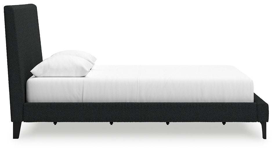 Cadmori Upholstered Bed with Roll Slats - Dow Furniture (ME)