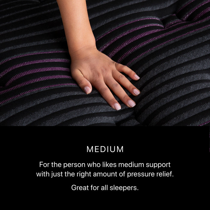 Beautyrest Black Series Two Medium Mattress - Dow Furniture (ME)