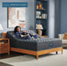 Beautyrest Level One Plush - Dow Furniture (ME)
