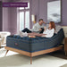 Beautyrest World Class Level Four Medium - Dow Furniture (ME)