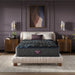 Beautyrest World Class Level Four Medium - Dow Furniture (ME)