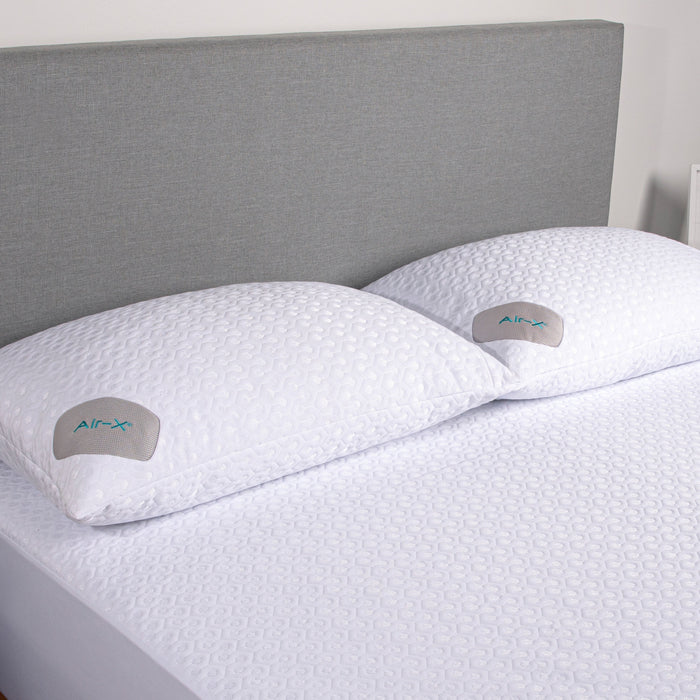 Dri-Tec Pillow Protector