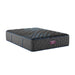 Beautyrest World Class Level Four Medium - Dow Furniture (ME)