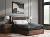 Millennium 2.0 Foam 12 Inch Mattress - Dow Furniture (ME)