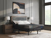 Millennium 2.0 Foam 14 Inch Mattress - Dow Furniture (ME)