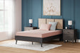 iKidz Coral Mattress and Pillow - Dow Furniture (ME)