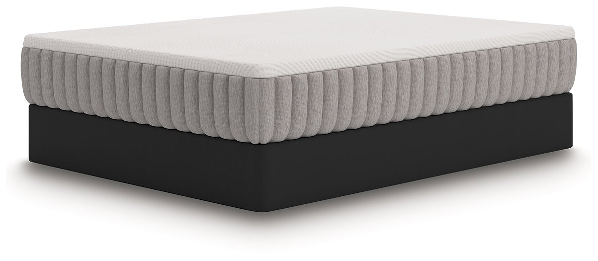 Terra Sleep Medium Mattress - Dow Furniture (ME)