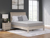 Terra Sleep Medium Mattress - Dow Furniture (ME)