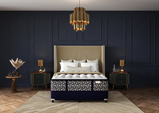 Night Stars M2 Luxetop Plush - Dow Furniture (ME)