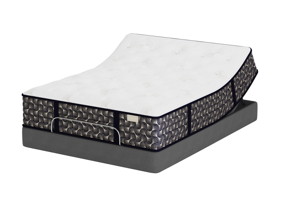 Night Stars Streamline Plush