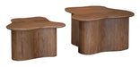 Abeford Accent Coffee Table (Set of 2) - Dow Furniture (ME)