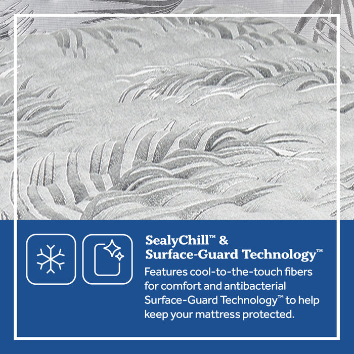 Sealy Victorious II Plush Mattress - Medium-Soft Comfort