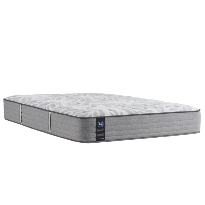 Sealy Lavina II Ultra Firm Mattress - Solid Value