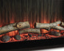 Entertainment Accessories Fireplace Insert - Dow Furniture (ME)