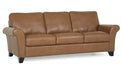 Palliser Furniture Rosebank Leather Sofa image
